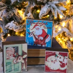 Rudolph Display Set